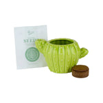 Load image into Gallery viewer, Cactus Pot Grow Kit
