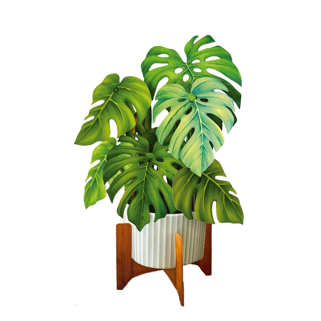 Life Sized Pop Up Flower Bouquet Monstera Plunketts Hallmark