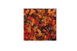 Load image into Gallery viewer, Lily&#39;s Chilies Gummy Bears candy
