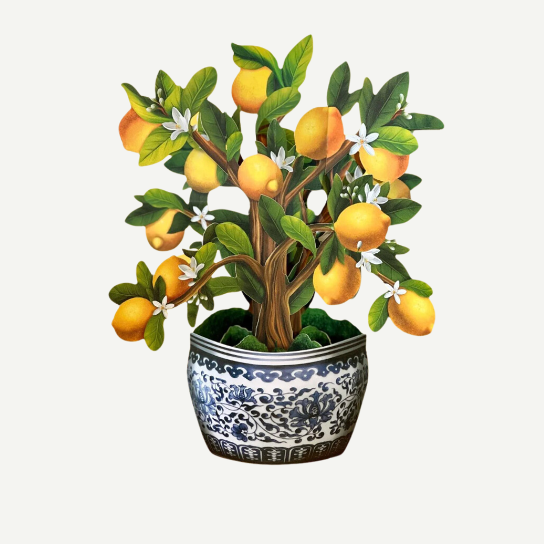 Pop-Up Houseplant Card: Lemon Blossom Tree