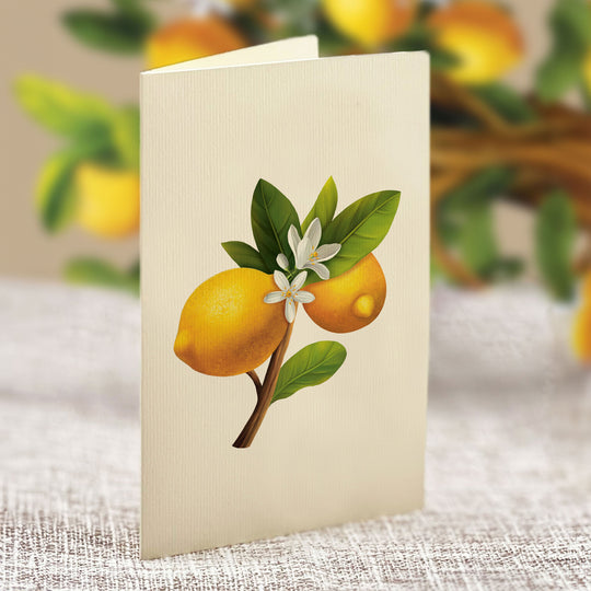 Pop-Up Houseplant Card: Lemon Blossom Tree