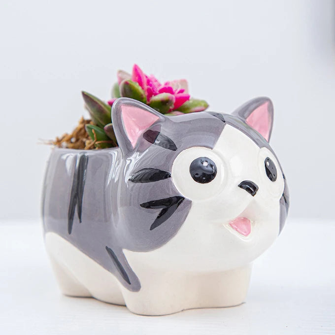 kitty succulent planter Gray Kitty Faux Succulent Planter– Plunkett's Hallmark