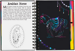 Load image into Gallery viewer, Horses Scratch and Sketch Art Activity Book
