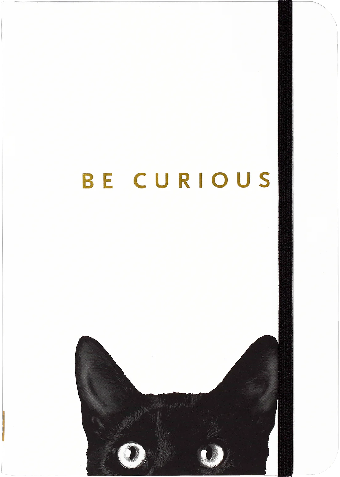 Curious Cat Journal