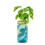 Load image into Gallery viewer, Modern Sprout Hydroponic Herb Grow Kits
