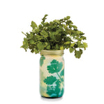 Load image into Gallery viewer, Modern Sprout Hydroponic Herb Grow Kits
