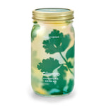 Load image into Gallery viewer, Modern Sprout Hydroponic Herb Grow Kits
