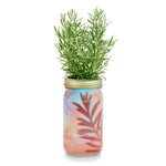 Load image into Gallery viewer, Modern Sprout Hydroponic Herb Grow Kits
