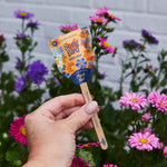 Load image into Gallery viewer, Modern Sprout Pollinator Seed Lollipops
