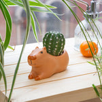 Load image into Gallery viewer, Capybara Ceramic Planter
