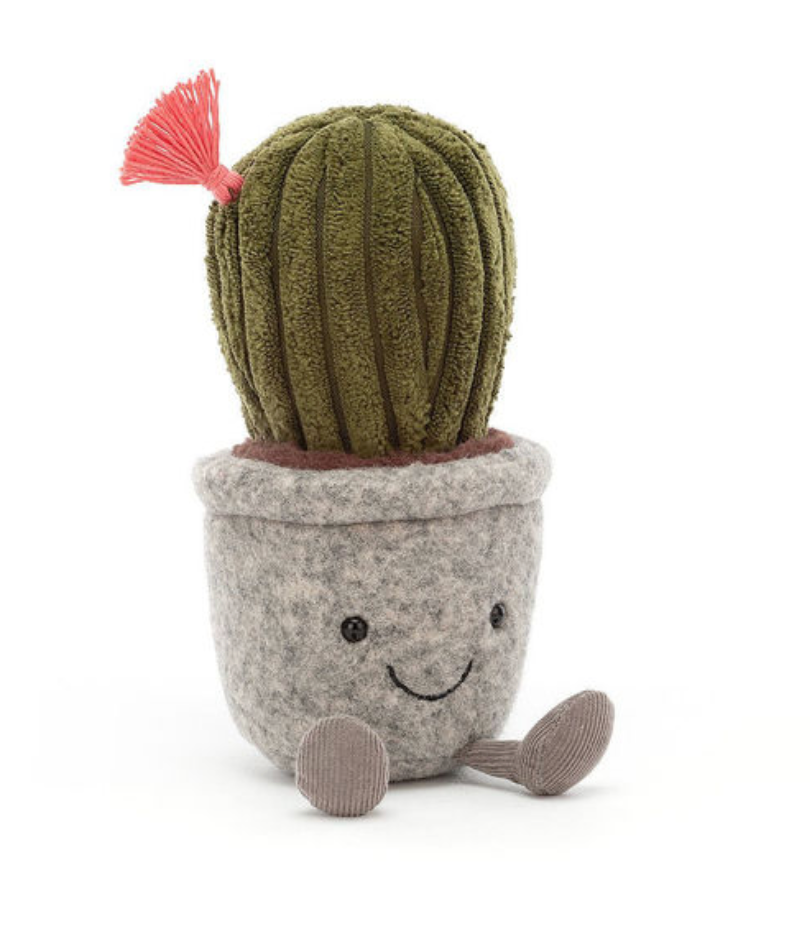 Silly Barrel Cactus