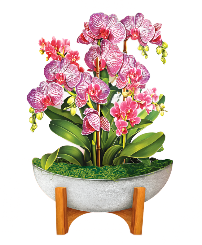 Mini Pop-Up Flower Bouquet: Orchid Oasis