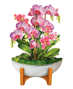 Mini Pop-Up Flower Bouquet: Orchid Oasis