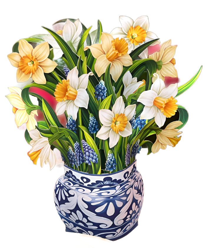 Mini Pop-Up Flower Bouquet: English Daffodils