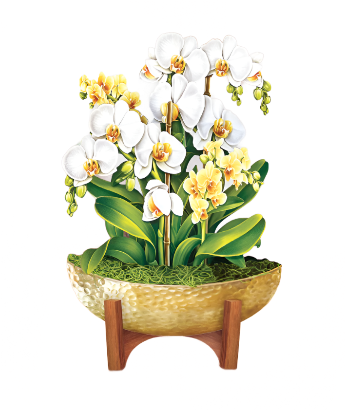 Mini Pop-Up Flower Bouquet: Serenity Orchid