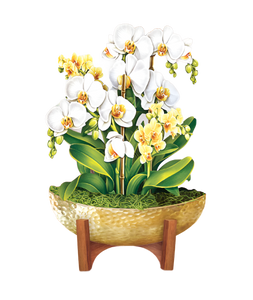 Mini Pop-Up Flower Bouquet: Serenity Orchid