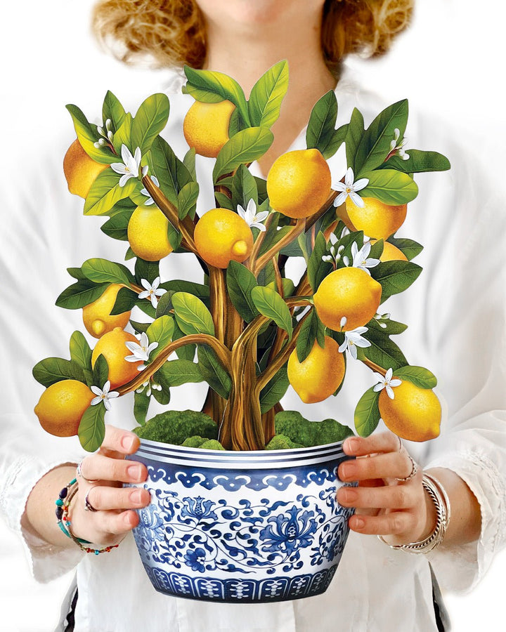 Pop-Up Houseplant Card: Lemon Blossom Tree