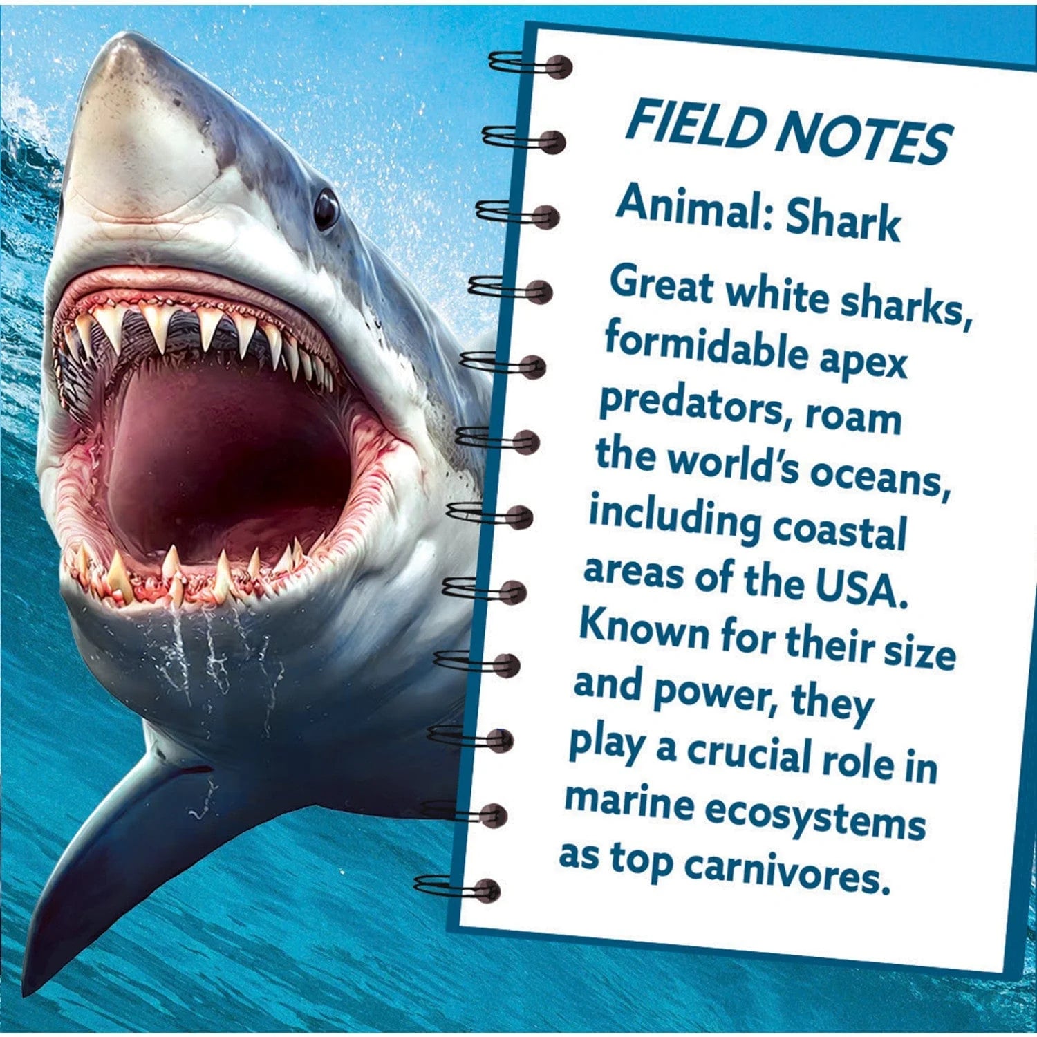 SharK 100-Piece Shaped Puzzle