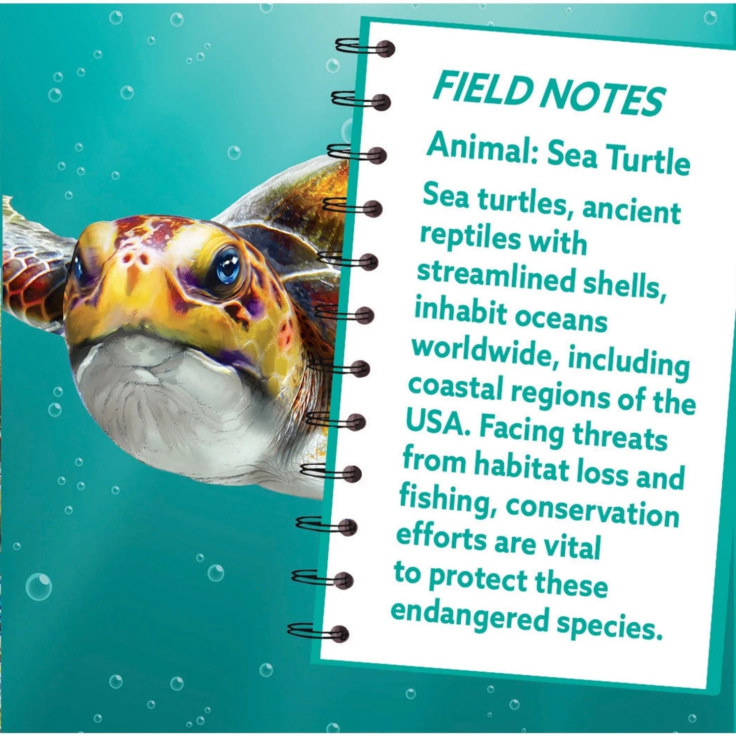 Sea Turtle 100-Piece Shaped Puzzle