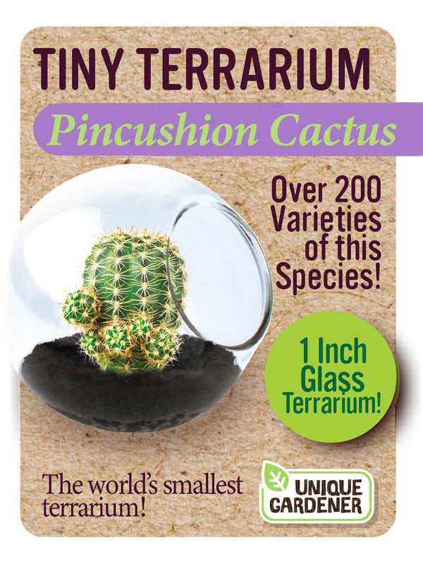 Tiny Terrariums
