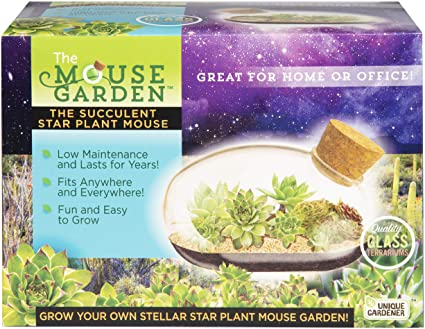 The Succulent Star Plant Mouse