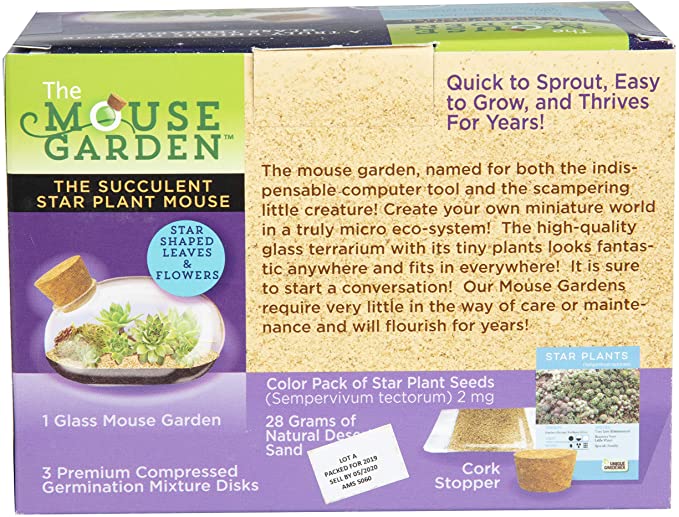 The Succulent Star Plant Mouse