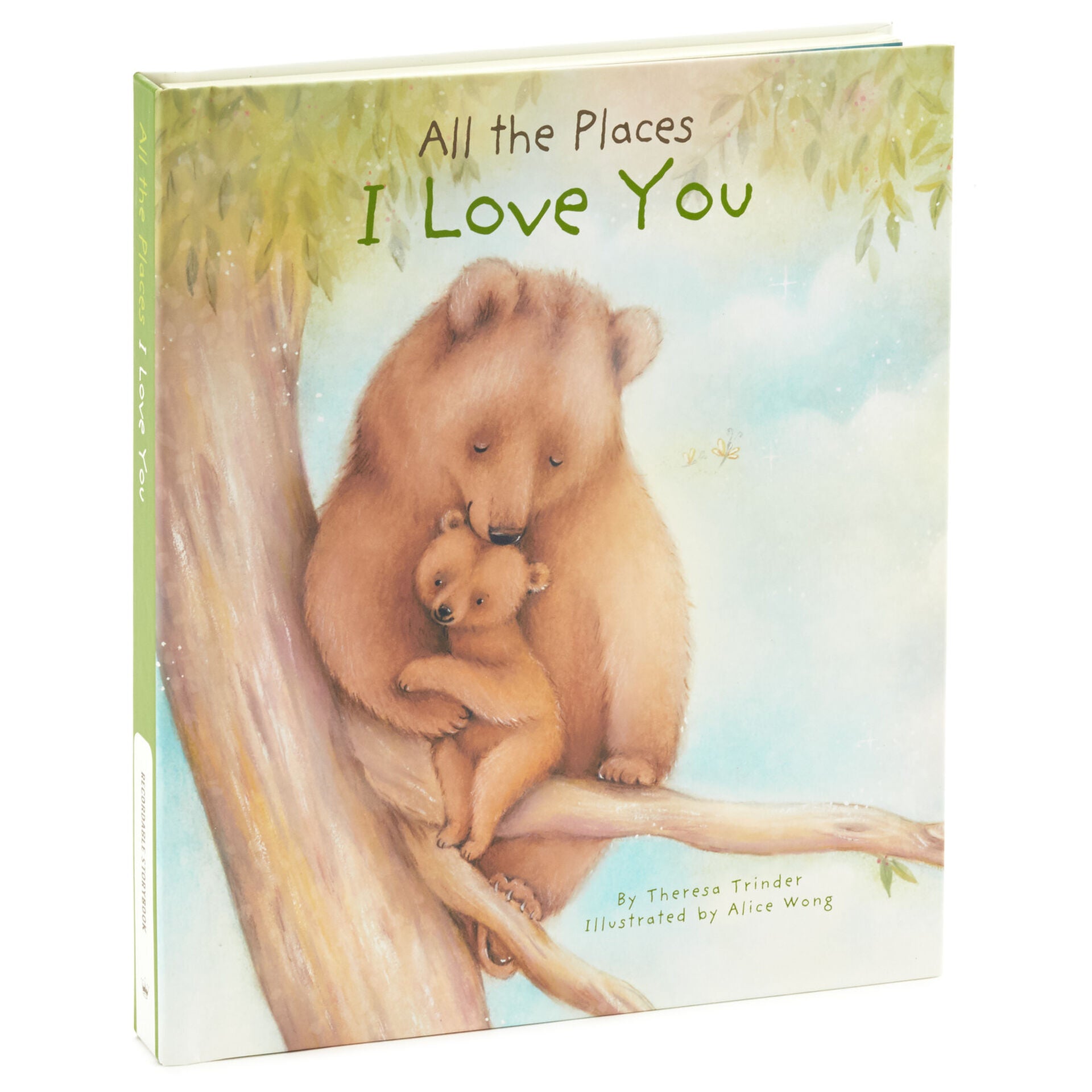 All the Places I Love You Recordable Storybook