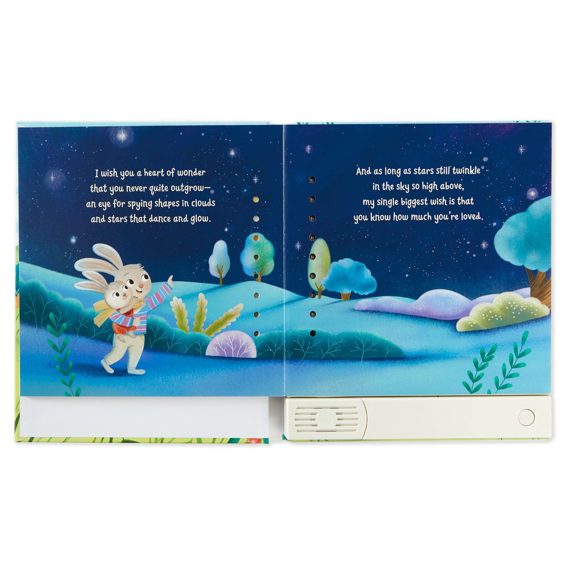 My Wish For You. Recordable Storybook
