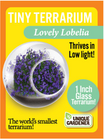 Load image into Gallery viewer, Tiny Terrariums
