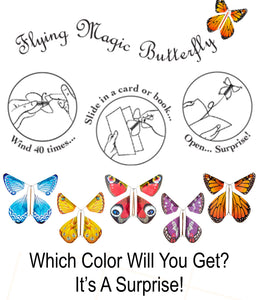 The Magic Butterfly - Plunkett's Hallmark