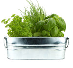 Load image into Gallery viewer, Kitchen Herb Grow Kit
