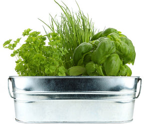 Kitchen Herb Grow Kit