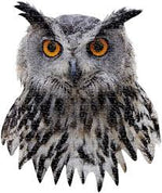 Load image into Gallery viewer, I AM OWL Puzzle
