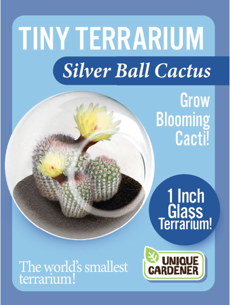 Tiny Terrariums– Plunkett's Hallmark